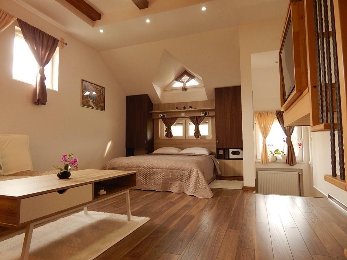 Studio Apartman Lakasa Раковица Екстериор снимка